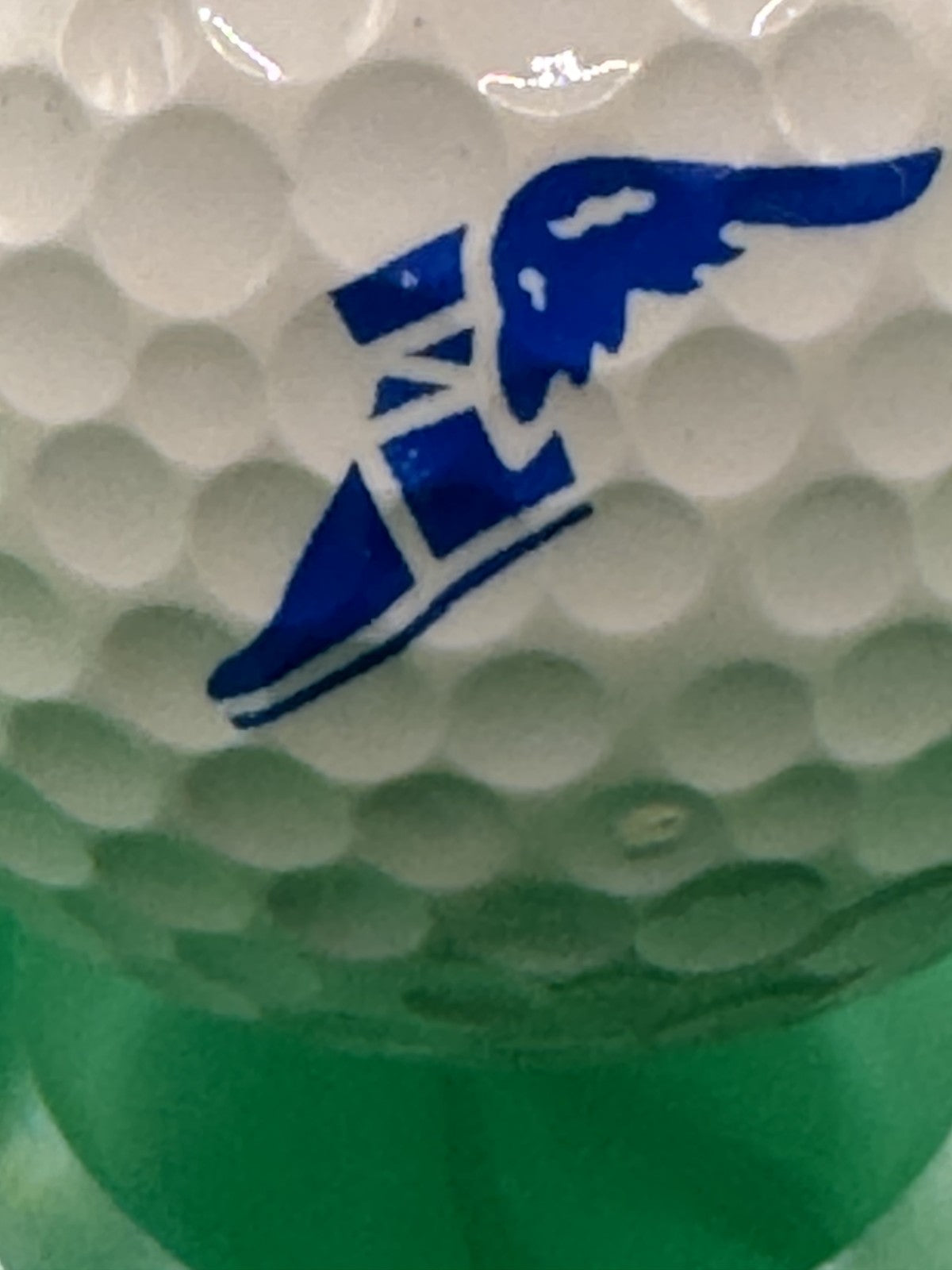 Wilson Smart-Core 2 Golf Ball Winged Foot Logo Professional Distance Collector