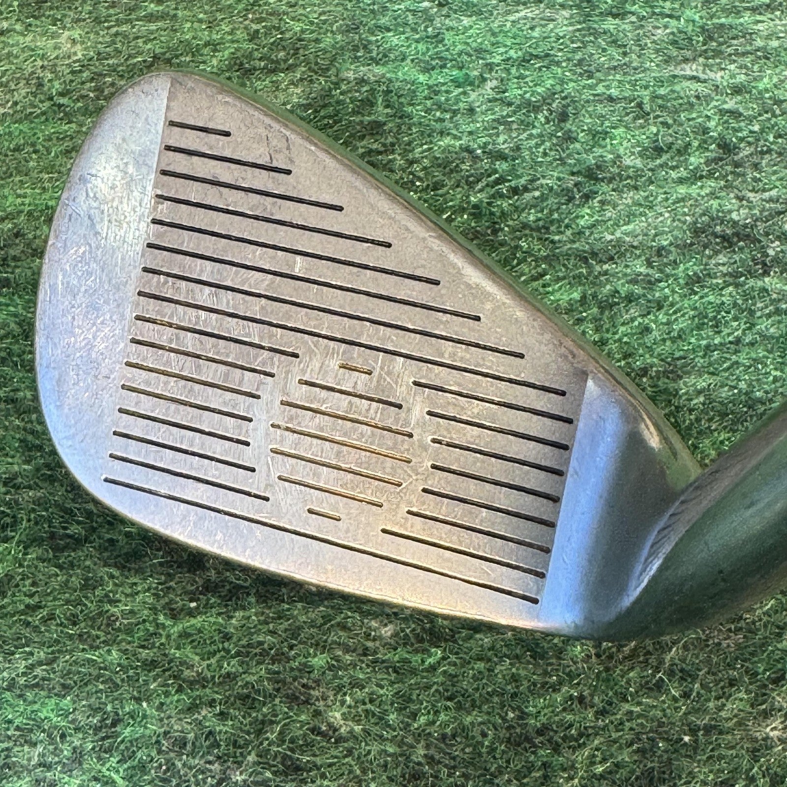 MR King Snake Oversize 6 Iron True Temper Dynamic Lite Steel Cavity Back Golf