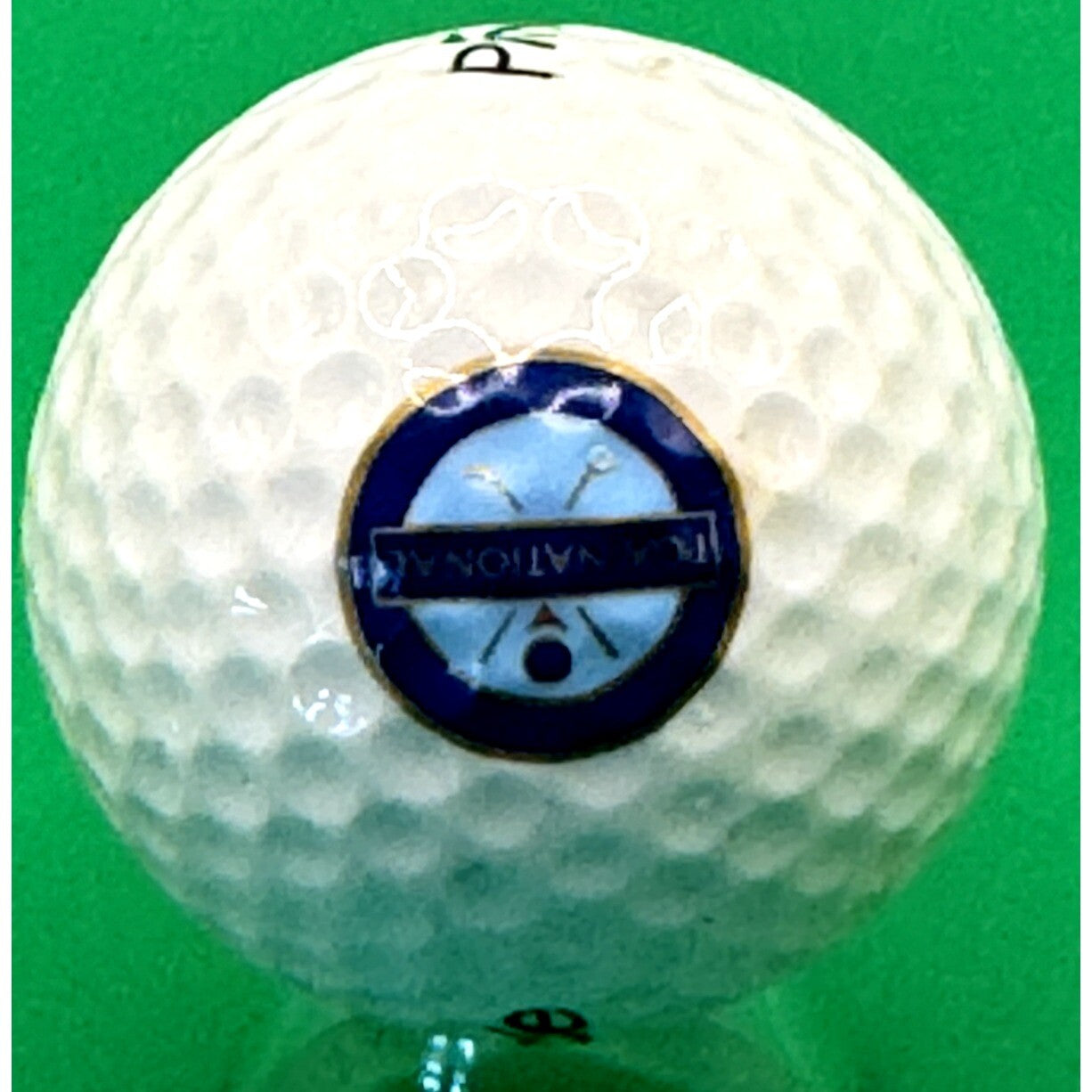 PGA National Logo Golf Ball