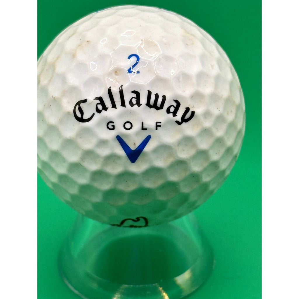 Arby's Charity Tour & Bank of America Logo Golf Ball Used