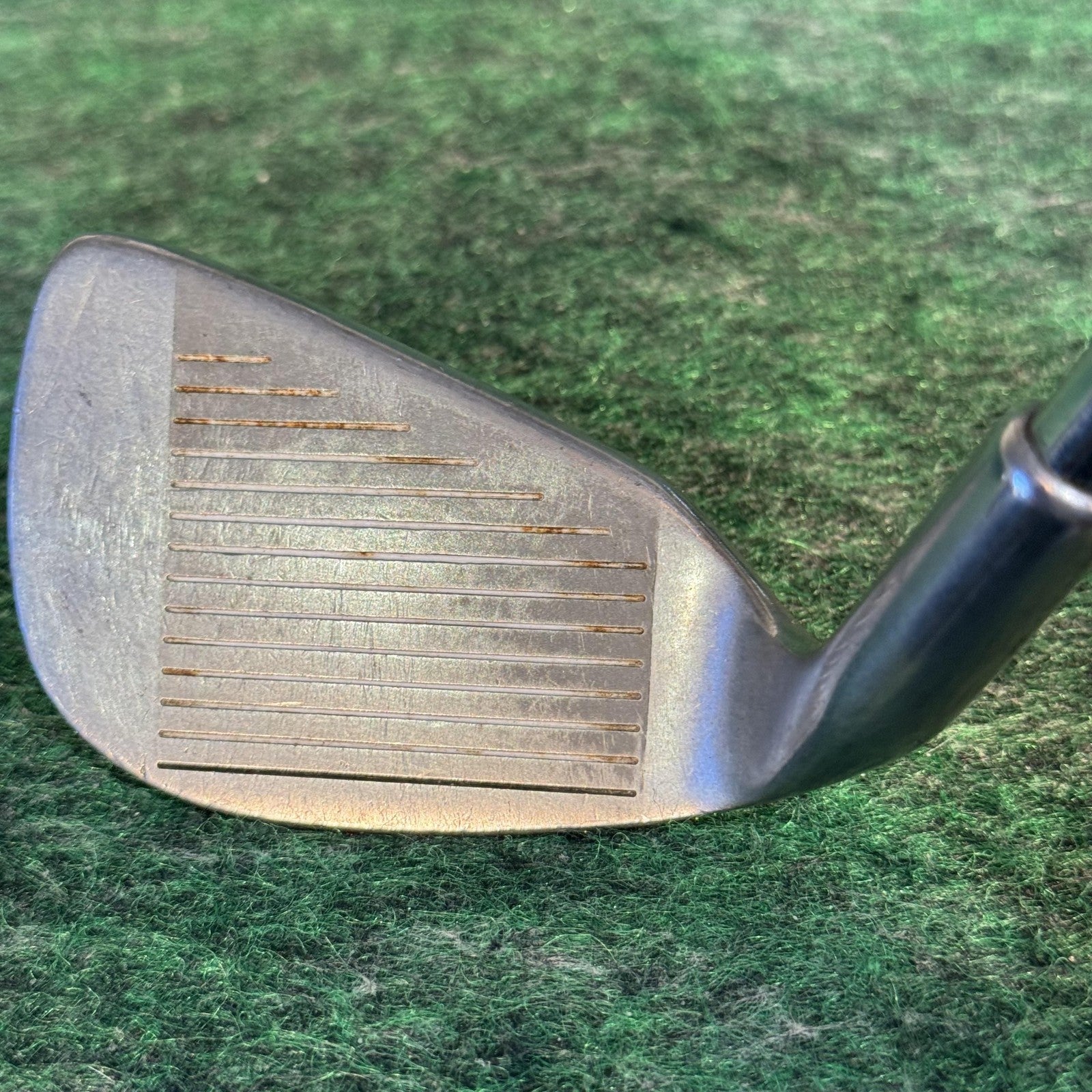Lion Tour System III 6 Iron Mens RH Stainless Steel Silver Golf Club Cavity Back