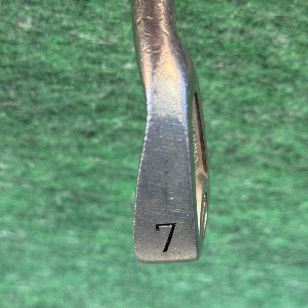 Custom Golf Iron Set 2-9 L PW Right Hand Steel Shaft Mens Champkey Grips Clubs