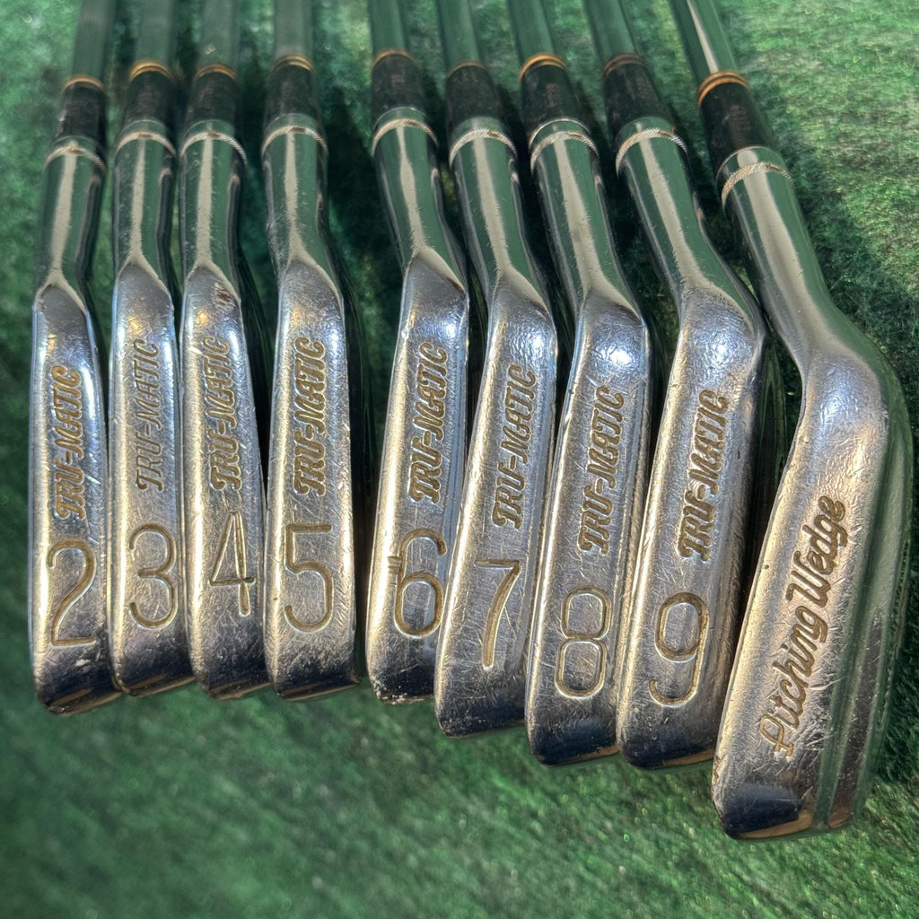 Vintage Arnold Palmer Stay-Fast Iron Set 2-9 W Mens RH R Flex Steel Golf Clubs