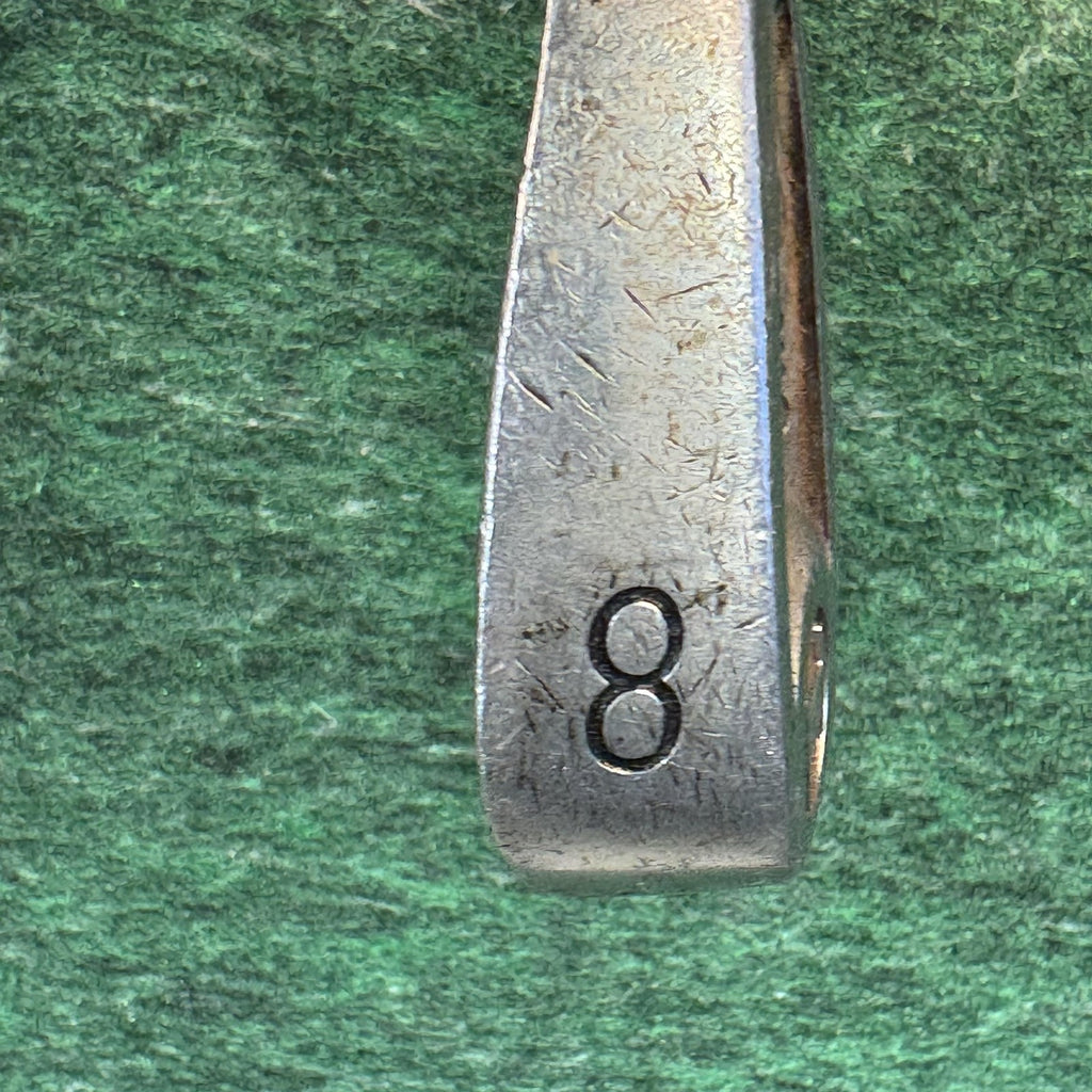 Custom Golf Iron Set 2-9 L PW Right Hand Steel Shaft Mens Champkey Grips Clubs