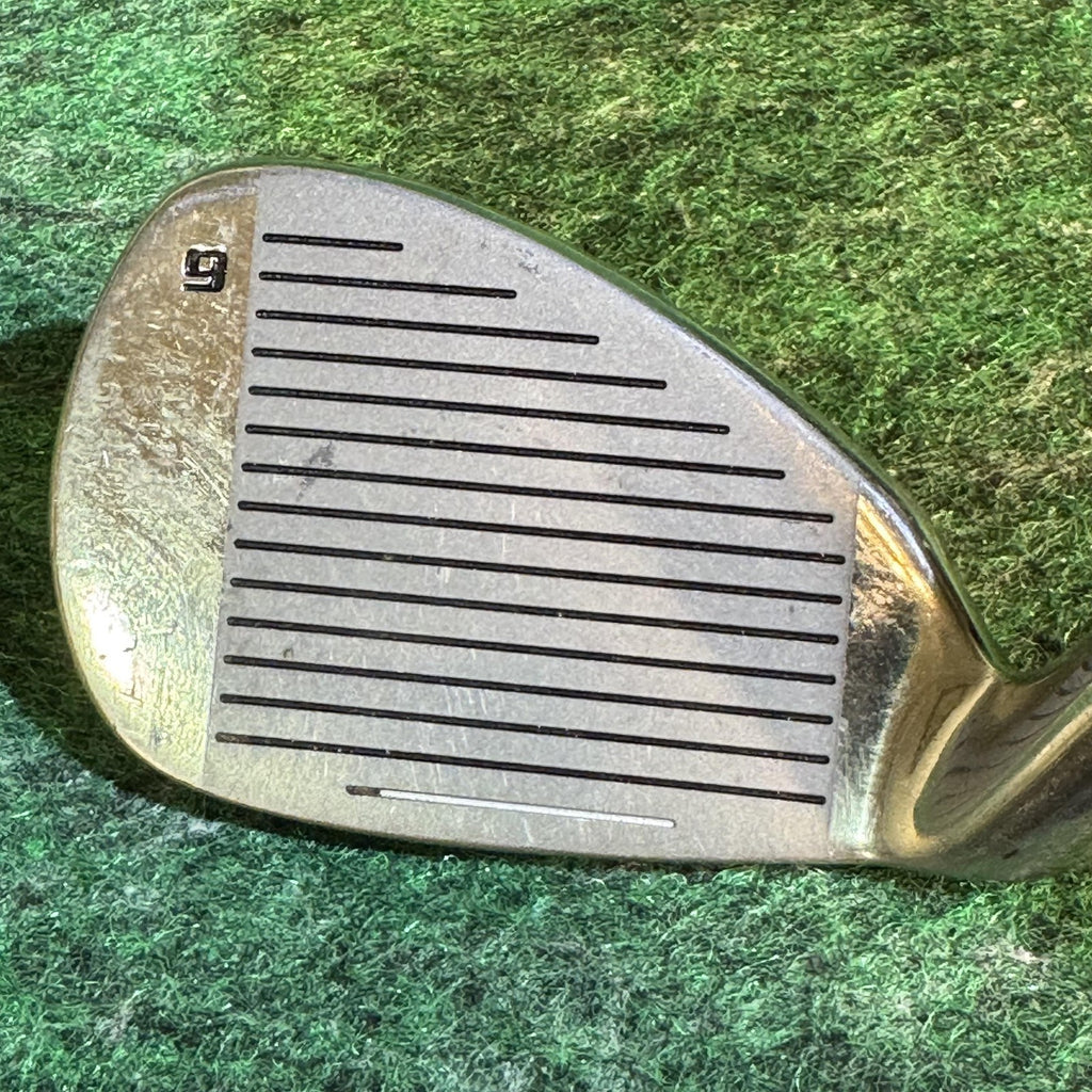 Affinity GTX Performance Cast Stainless Steel Iron Set 4-9 PW SW Women's RH Golf